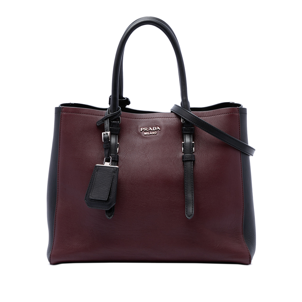 Pre-Loved Prada Medium Bicolor City Calf Double Satchel